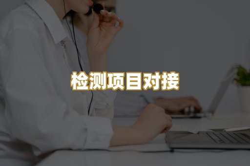 检测项目对接